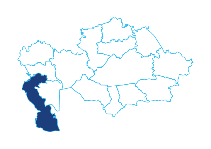Проект Центральная